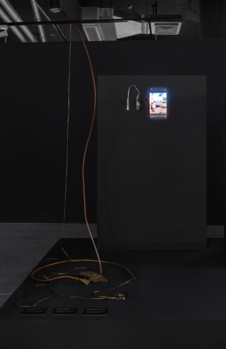 Katabasis, Guangli Liu